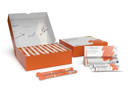 Prevenção de cáries profissionais-o poder do PMTC e proteção de flúor Pro Shield